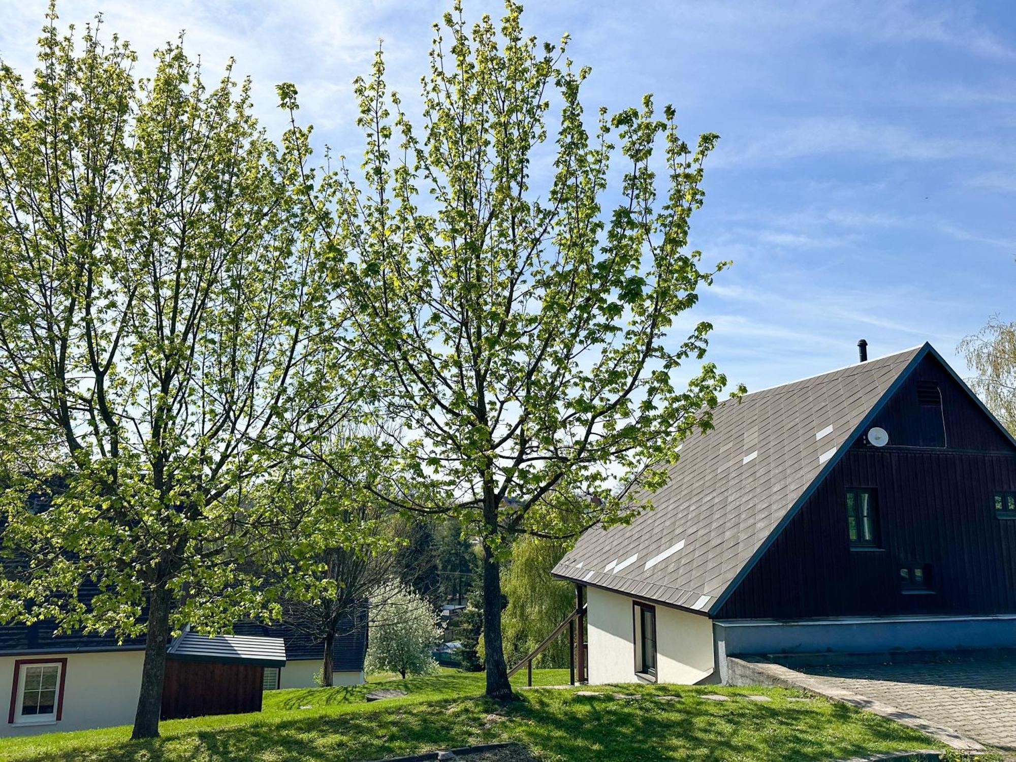 Chalet Třicítka Na šťastném Kopci Černý Dŭl